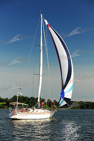 2015 Gov Cup D 269