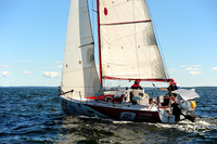 2014 Vineyard Race A 1006