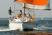 2012 Vineyard Race A 267