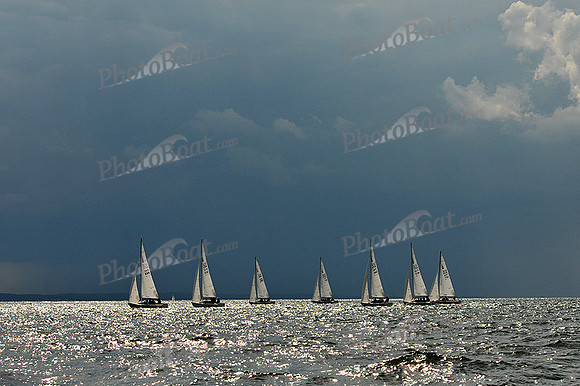 2012 Sonar LIS Champs C 948