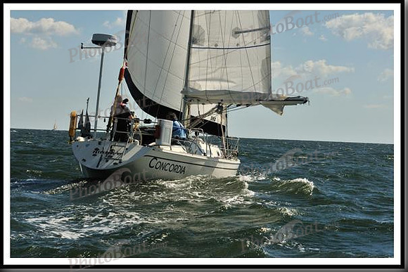 proof_2010_Vineyard_Race_0175