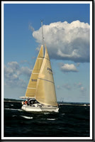 proof_2010_Vineyard_Race_0053