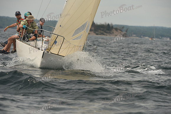 2016 Chester Race Week C_0938