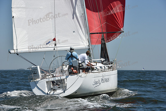 2019 Vineyard Race A_0938