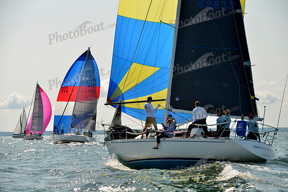 2017 Stamford Denmark Race_0588