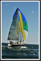 proof_2010_Vineyard_Race_0568