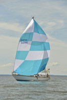 2016 Vineyard Race A_0989