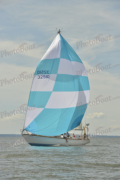 2016 Vineyard Race A_0989