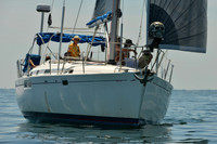 2015 Cape Charles Cup A 348