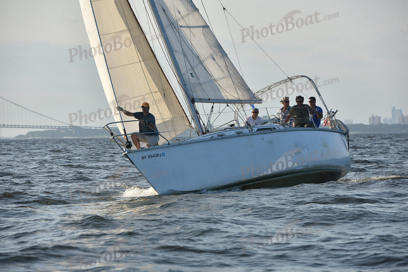 2019 ALIR_2268