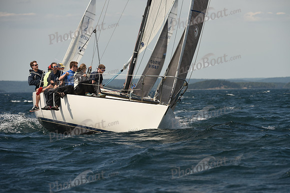 2016 Chester Race Week A_1498