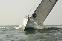 2015 Vineyard Race A 791