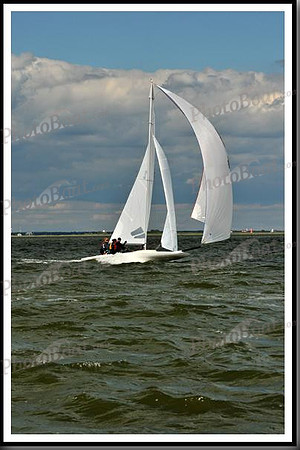 proof_2010_EScows_B 1234