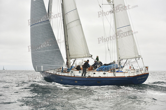 2018 Newport Bermuda Race A_1821