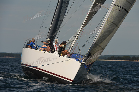 2016 Chester Race Week A_0020