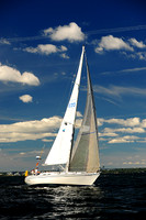 2014 Vineyard Race A 916