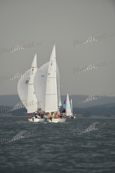 2016 Chester Race Week D_0752