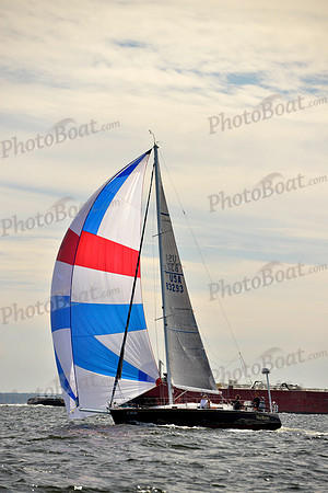 2017 Vineyard Race A_1733