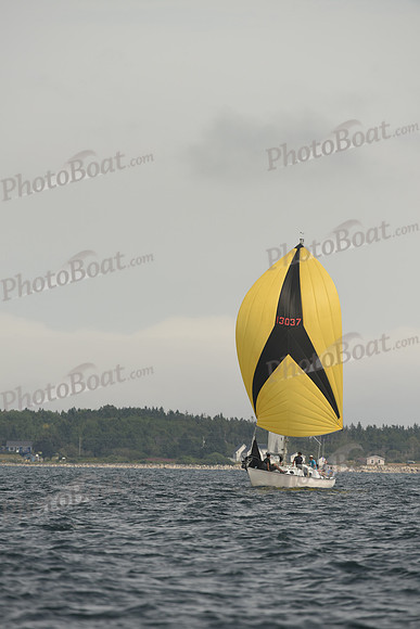 2016 Chester Race Week C_1646