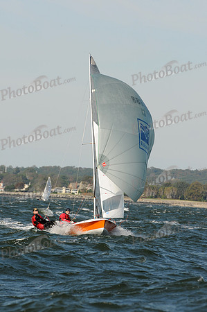 2011 505 NAs D 229