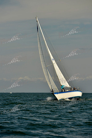 2019 St Pete NOOD C_0064