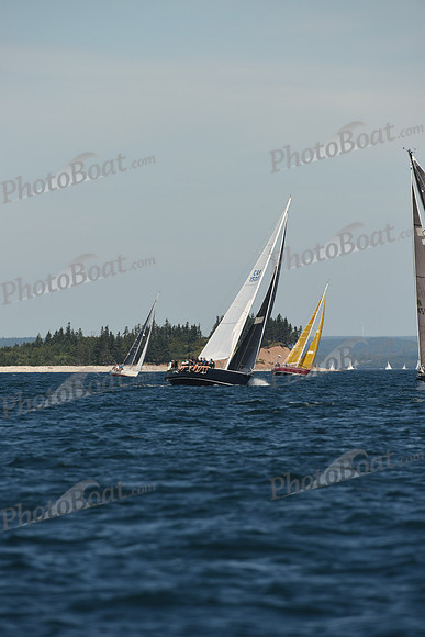 2016 Chester Race Week A_0071