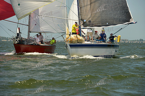 2015 Southern Bay Race Week A 1511