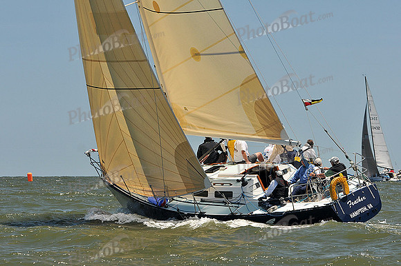 2014 Southern Bay Race Week D 1039