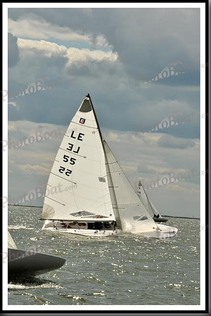 proof_2010_EScows_B 291