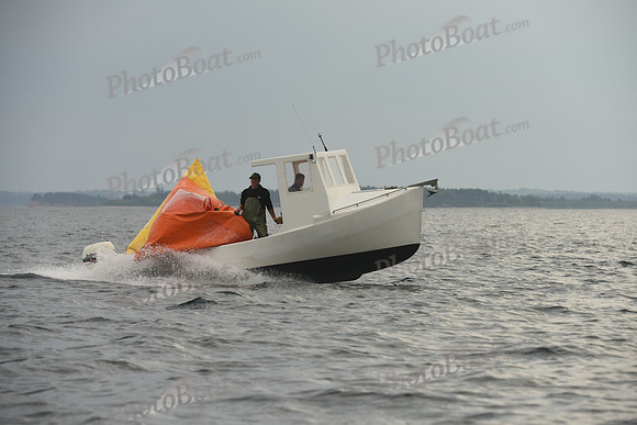 2016 Chester Race Week D_0807
