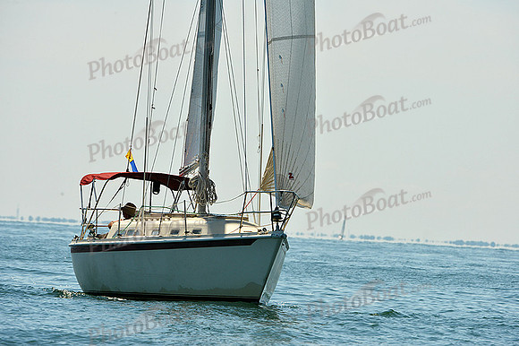 2015 Cape Charles Cup A 598