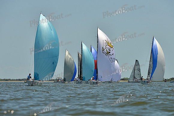 2014 Charleston Race Week F 348