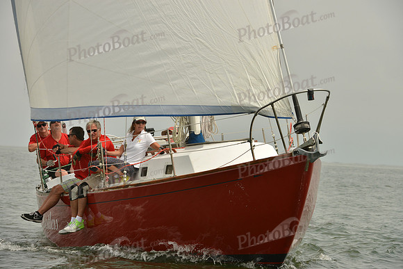 2016 Southern Bay Race Week E_0125