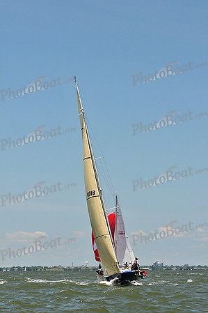 2014 Southern Bay Race Week D 1016