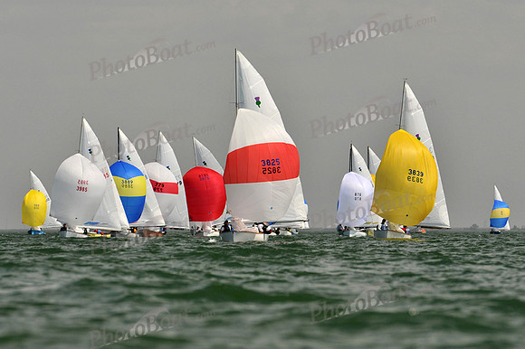 2012 Thistle MidWinters B 1376