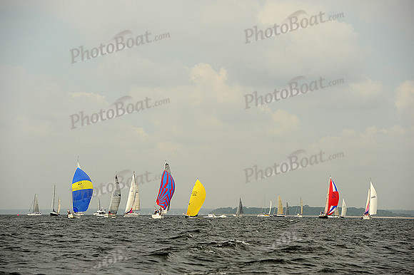 2013 Vineyard Race A 119