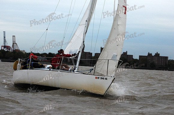 2011 NY Architects Regatta 532