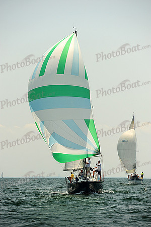 2014 Cape Charles Cup A 736