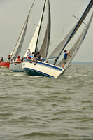 2016 Southern Bay Race Week A_0281
