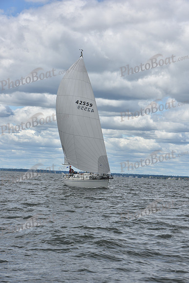 2021 Vineyard Race A 0872