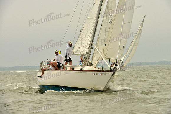 2016 Southern Bay Race Week A_1158