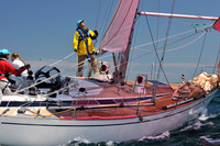 2012 Newport Bermuda 617