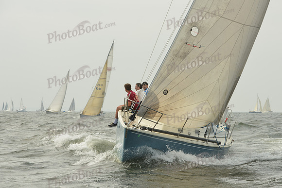 2015 Vineyard Race A 273