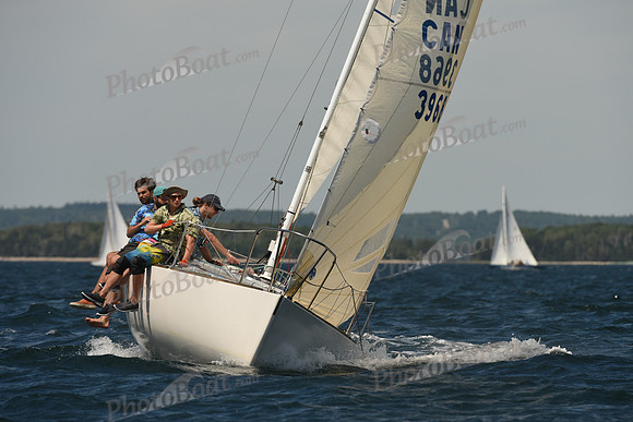 2016 Chester Race Week A_1076