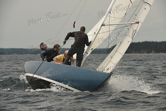 2016 Chester Race Week C_1123