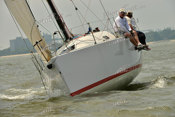 2016 Southern Bay Race Week B_0022
