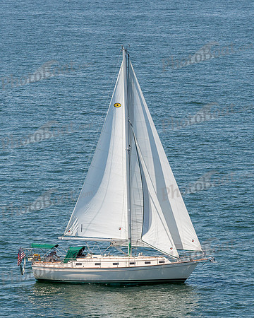 DBP_1559