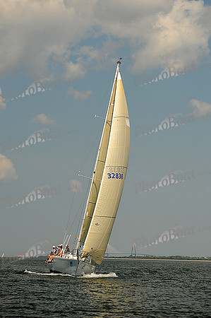 2014 Charleston Race Week A 338