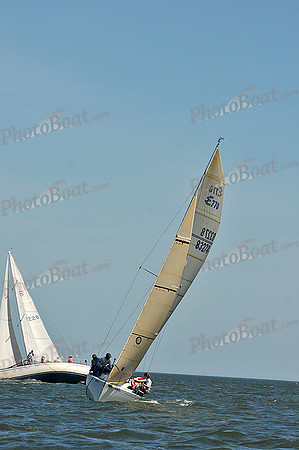 2013 Southern Bay Race Week D 466