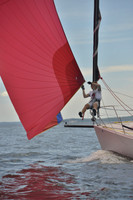 2016 Vineyard Race A_0483